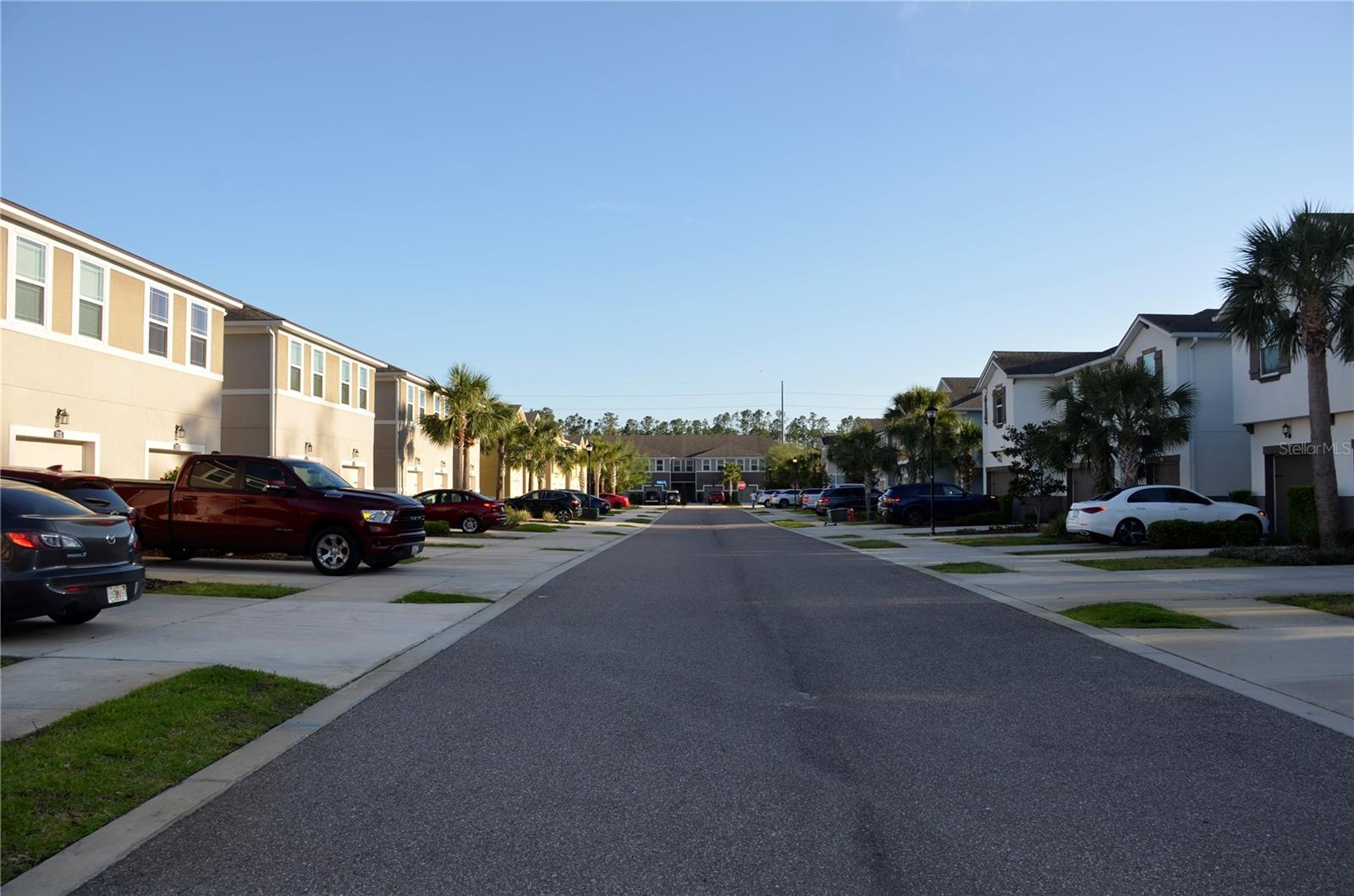 17833 ALTHEA BLUE PL, LUTZ, FL, 33558