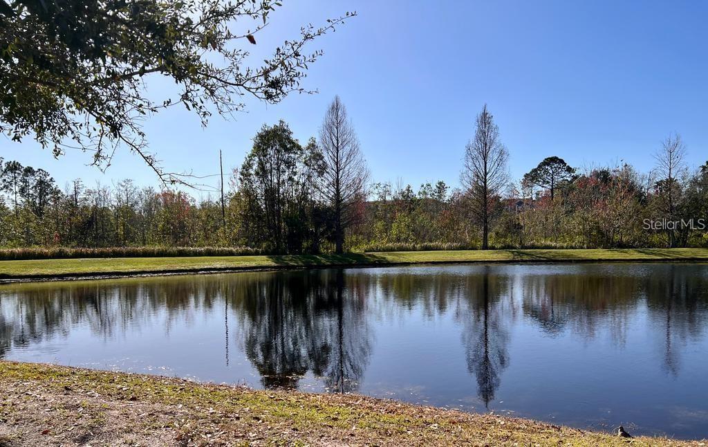 3176 FELTRIM PL #202, KISSIMMEE, FL, 34747