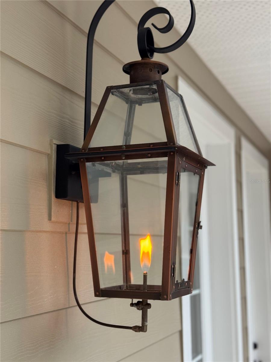 9801 PINE LEAF LN, DADE CITY, FL, 33525