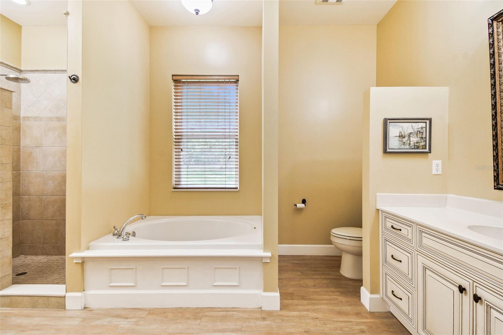 9801 PINE LEAF LN, DADE CITY, FL, 33525