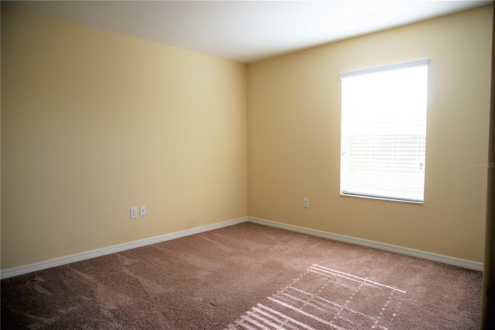 20218 POND APPLE LN, TAMPA, FL, 33647