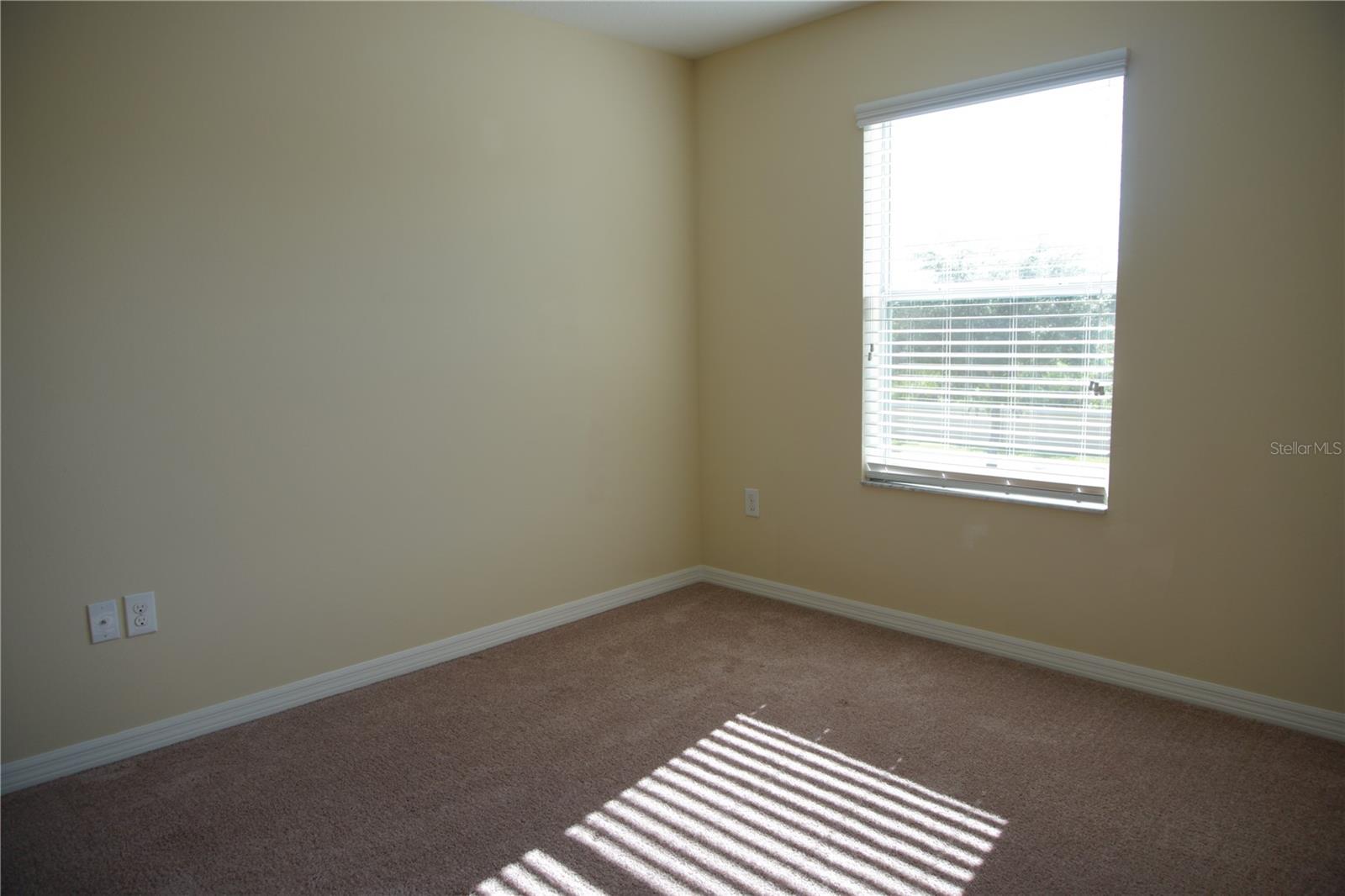 20218 POND APPLE LN, TAMPA, FL, 33647