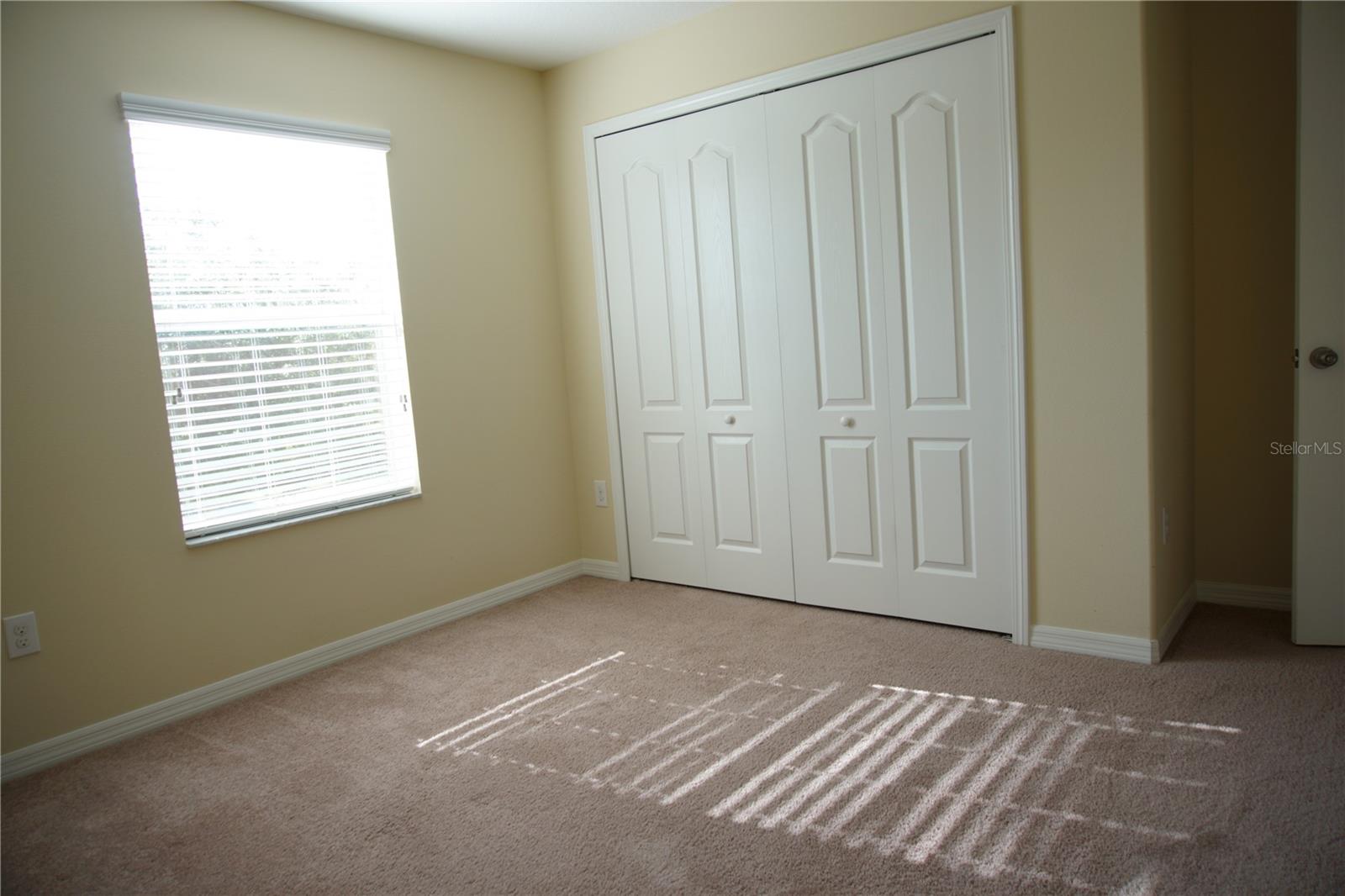 20218 POND APPLE LN, TAMPA, FL, 33647