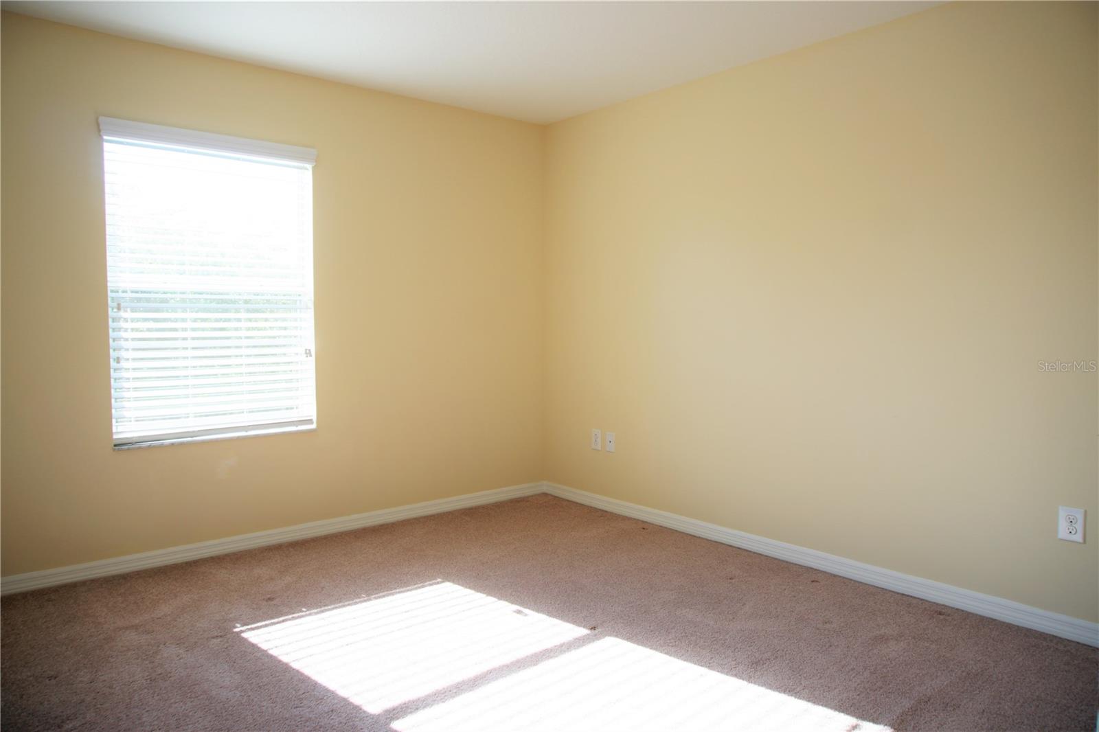20218 POND APPLE LN, TAMPA, FL, 33647