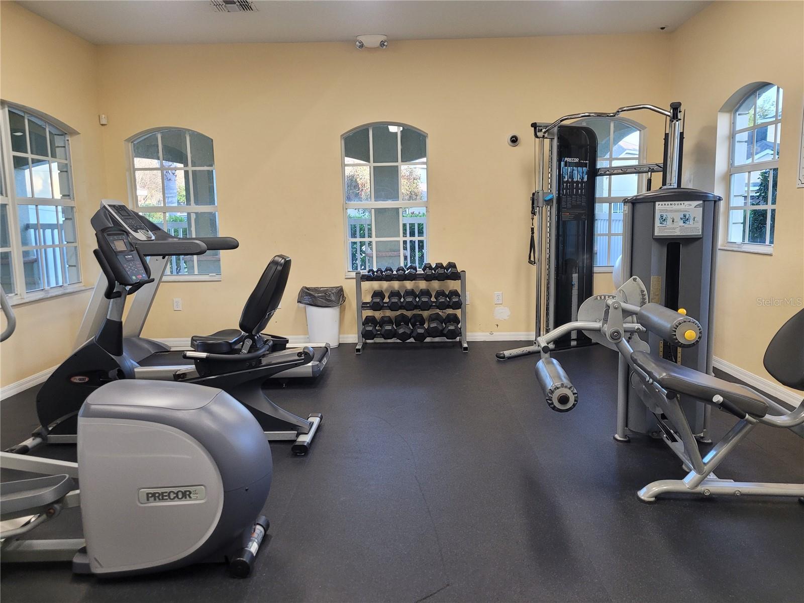 20218 POND APPLE LN, TAMPA, FL, 33647