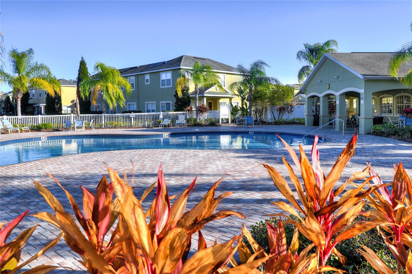 20218 POND APPLE LN, TAMPA, FL, 33647