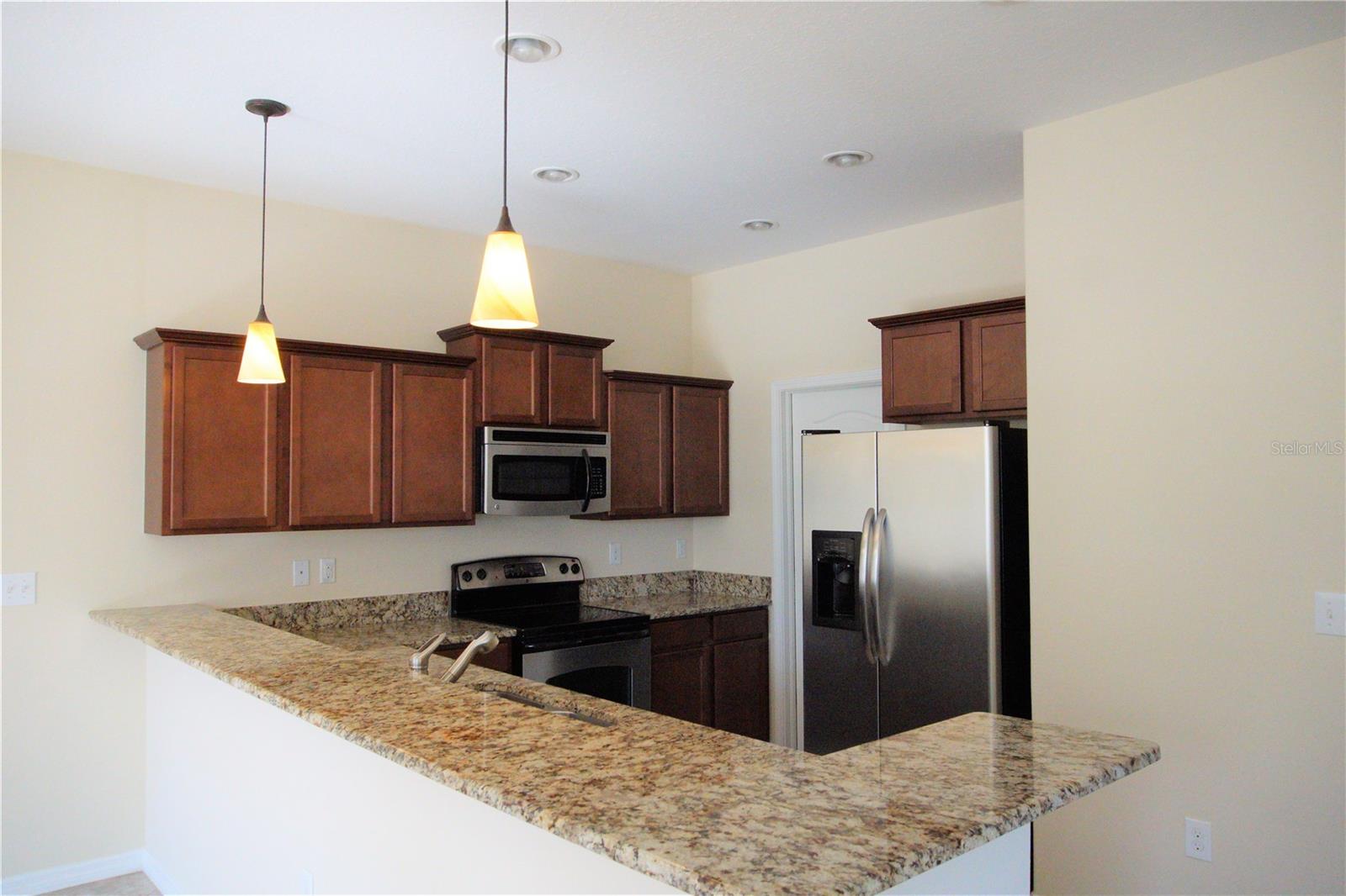 20218 POND APPLE LN, TAMPA, FL, 33647