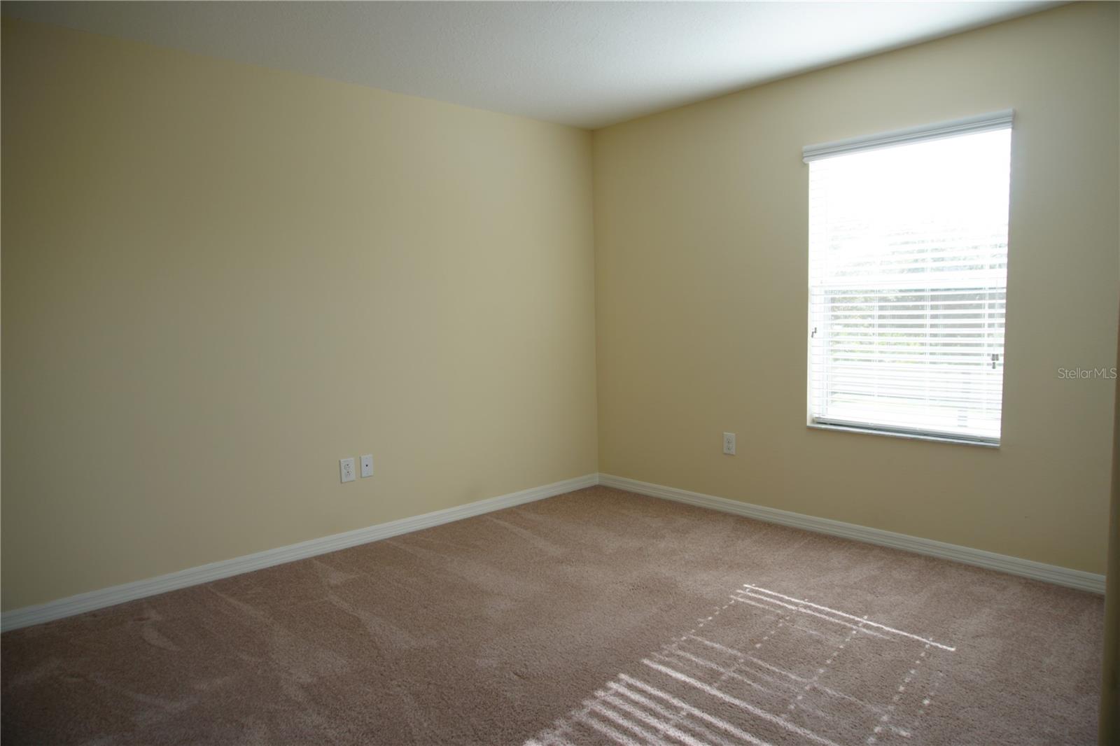 20218 POND APPLE LN, TAMPA, FL, 33647