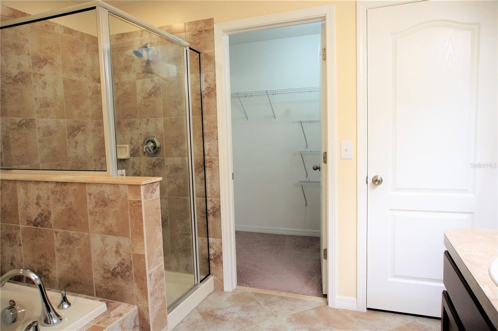 20218 POND APPLE LN, TAMPA, FL, 33647