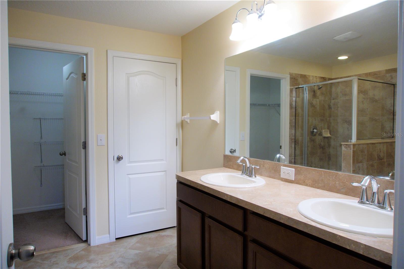 20218 POND APPLE LN, TAMPA, FL, 33647
