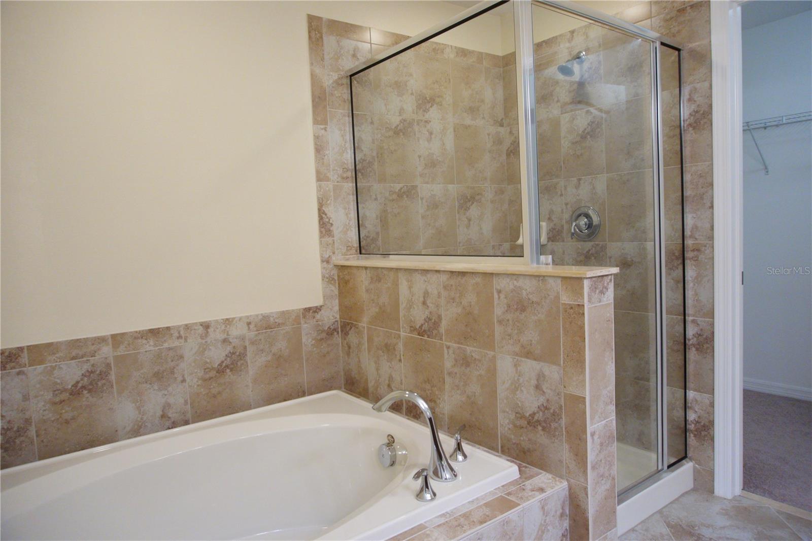 20218 POND APPLE LN, TAMPA, FL, 33647