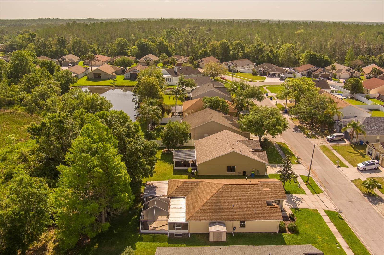 28834 STORMCLOUD PASS, WESLEY CHAPEL, FL, 33543