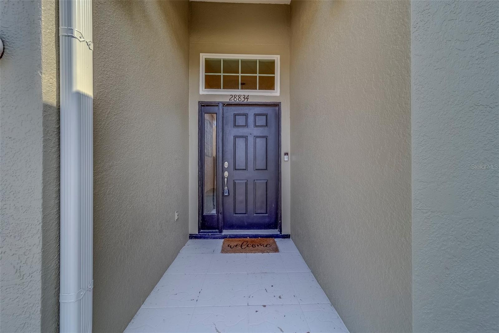 28834 STORMCLOUD PASS, WESLEY CHAPEL, FL, 33543