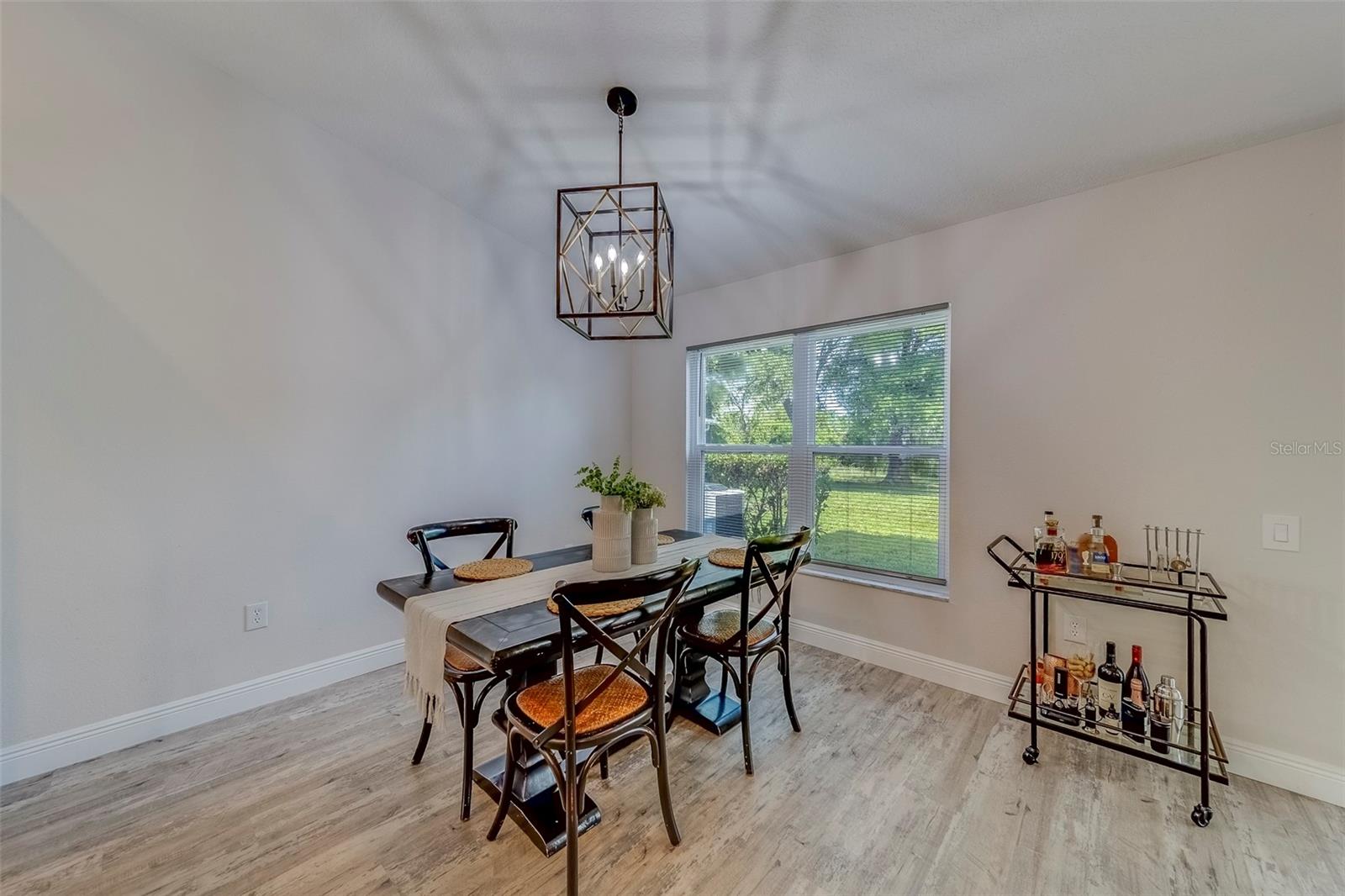 28834 STORMCLOUD PASS, WESLEY CHAPEL, FL, 33543