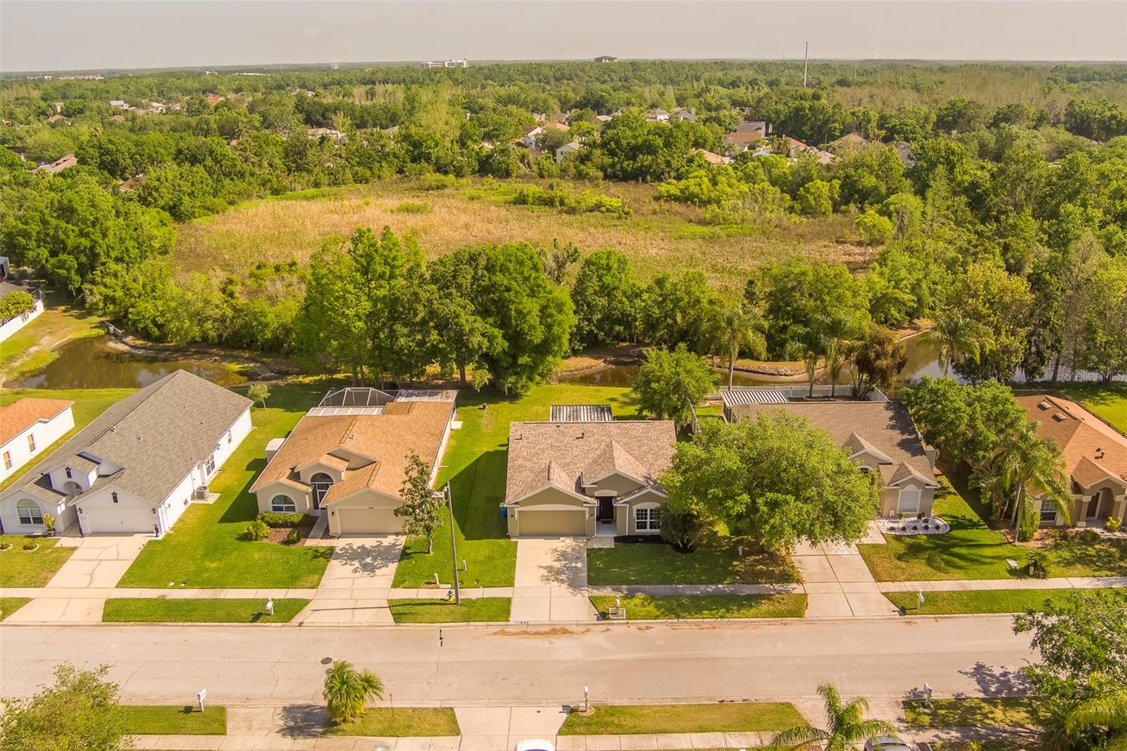 28834 STORMCLOUD PASS, WESLEY CHAPEL, FL, 33543