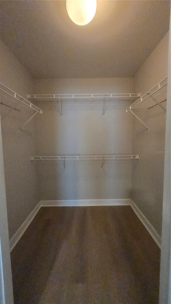 18163 BRIDLE CLUB DR #18163, TAMPA, FL, 33647