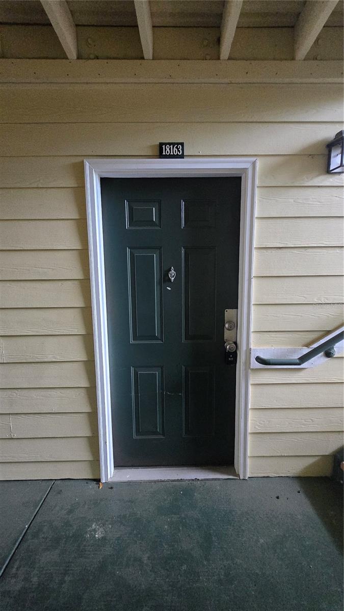 18163 BRIDLE CLUB DR #18163, TAMPA, FL, 33647