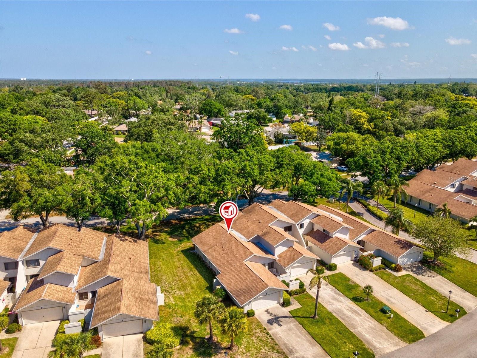 456 LAKEVIEW DR #5, PALM HARBOR, FL, 34683
