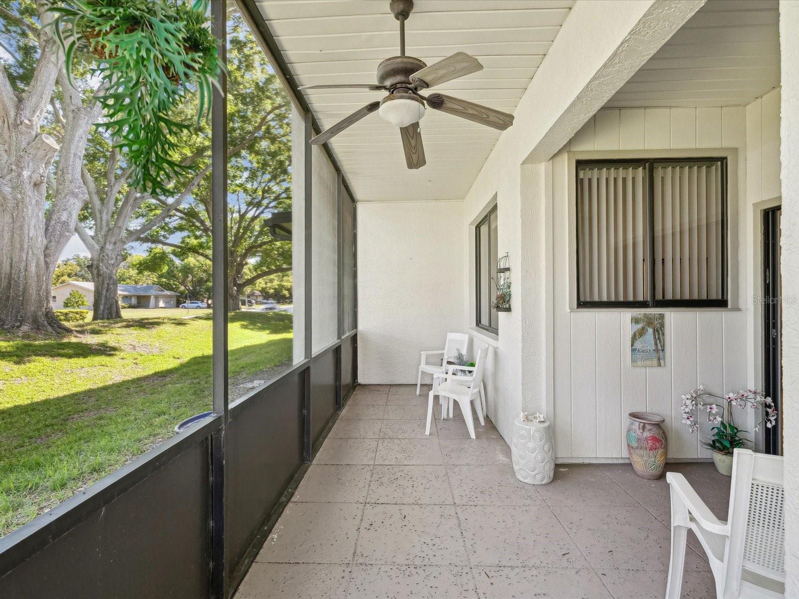 456 LAKEVIEW DR #5, PALM HARBOR, FL, 34683