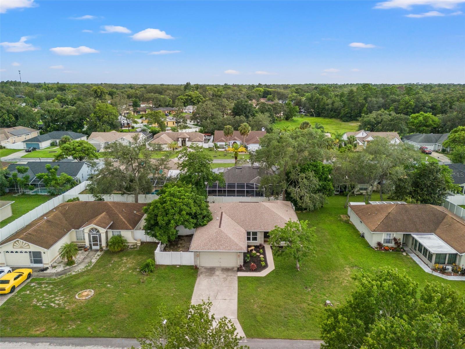 8202 SPANISH OAK DR, SPRING HILL, FL, 34606