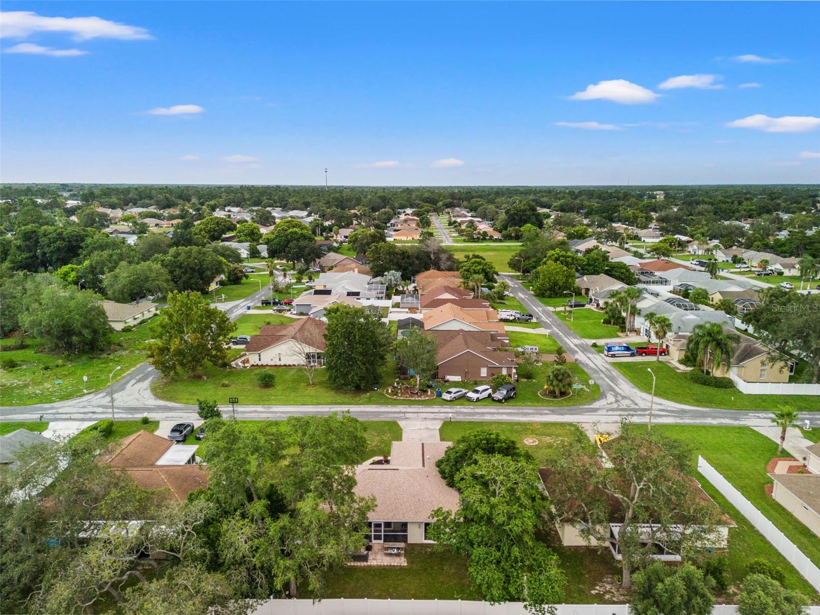 8202 SPANISH OAK DR, SPRING HILL, FL, 34606