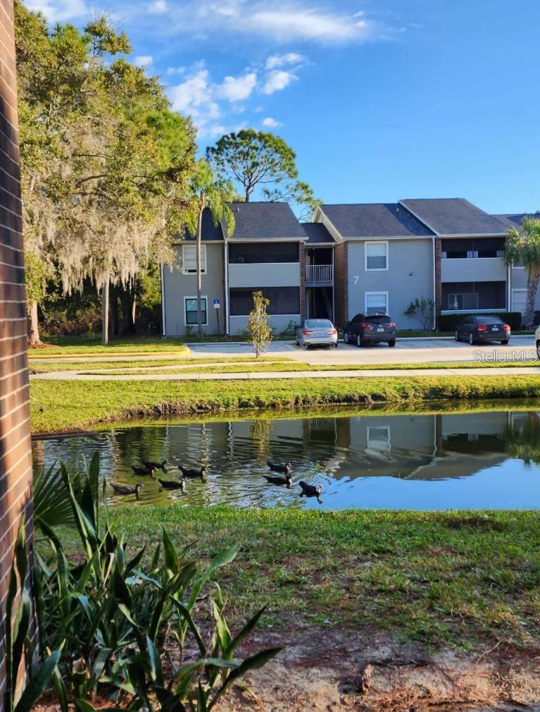 1400 GANDY BLVD N #1304, ST PETERSBURG, FL, 33702