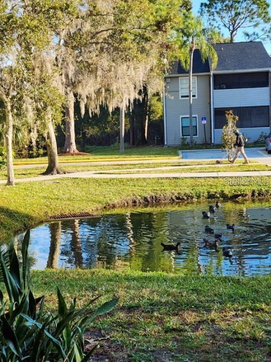 1400 GANDY BLVD N #1304, ST PETERSBURG, FL, 33702