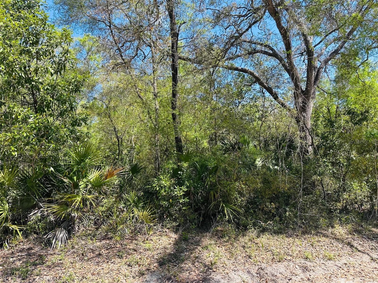 0 NW 30TH ST, CHIEFLAND, FL, 32626