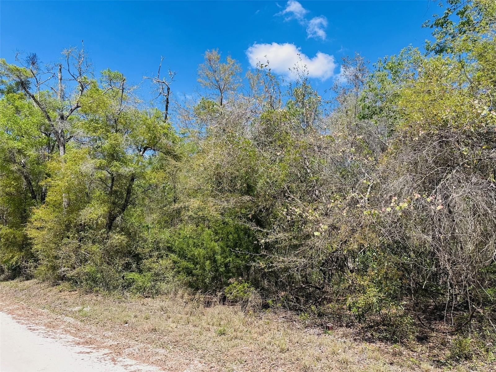 0 NW 30TH ST, CHIEFLAND, FL, 32626