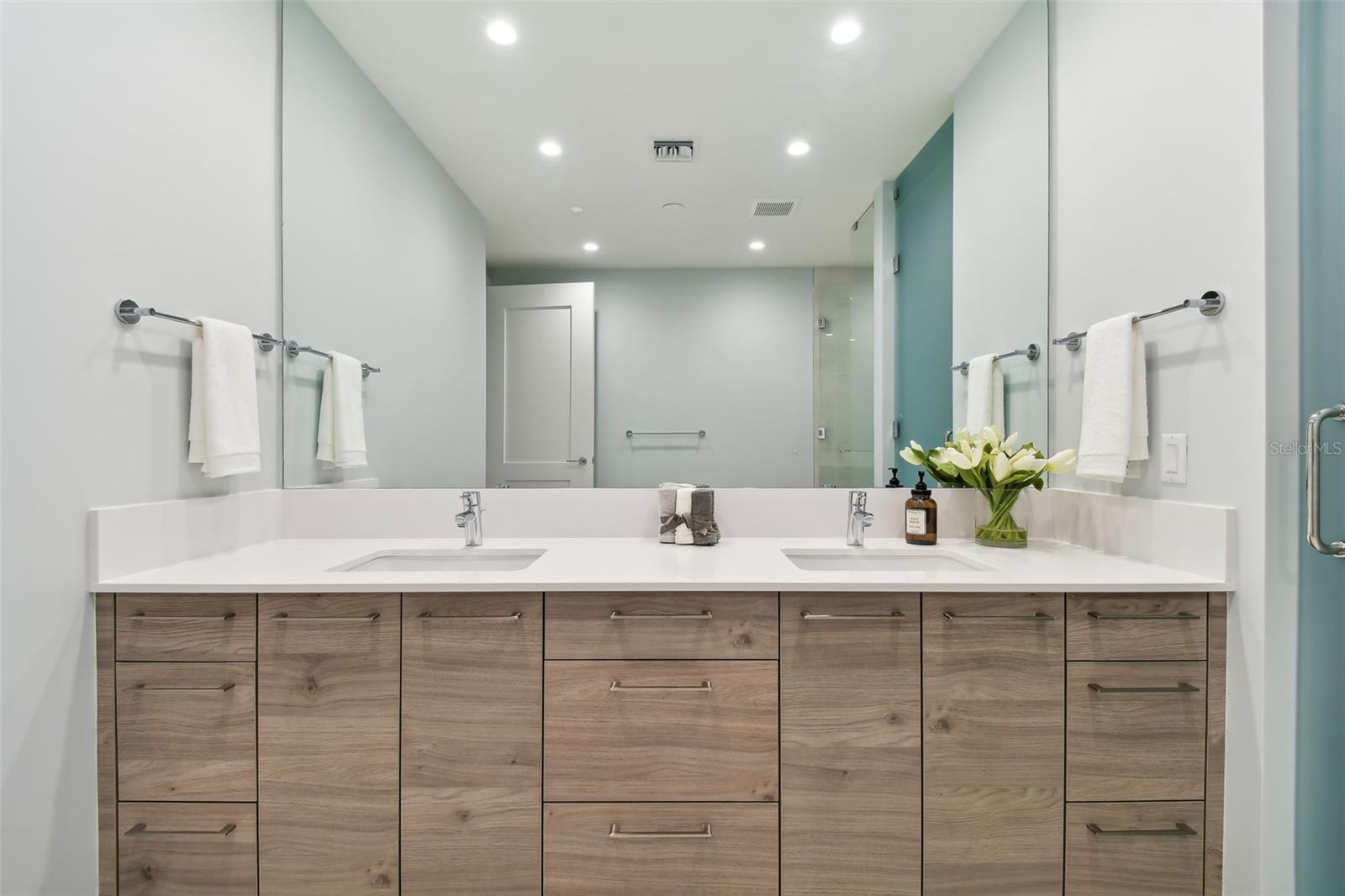 301 1ST ST S #2402, ST PETERSBURG, FL, 33701