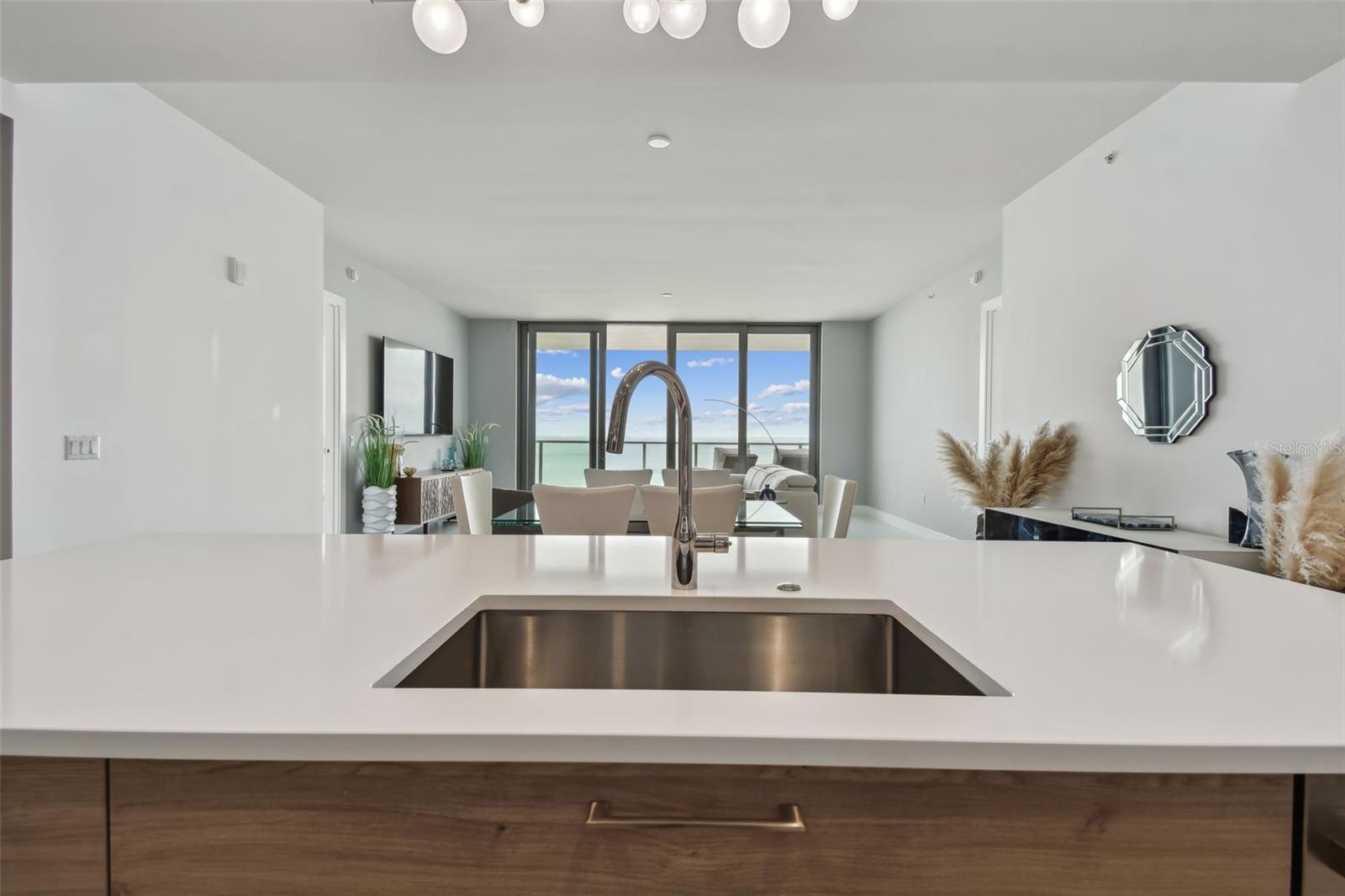 301 1ST ST S #2402, ST PETERSBURG, FL, 33701