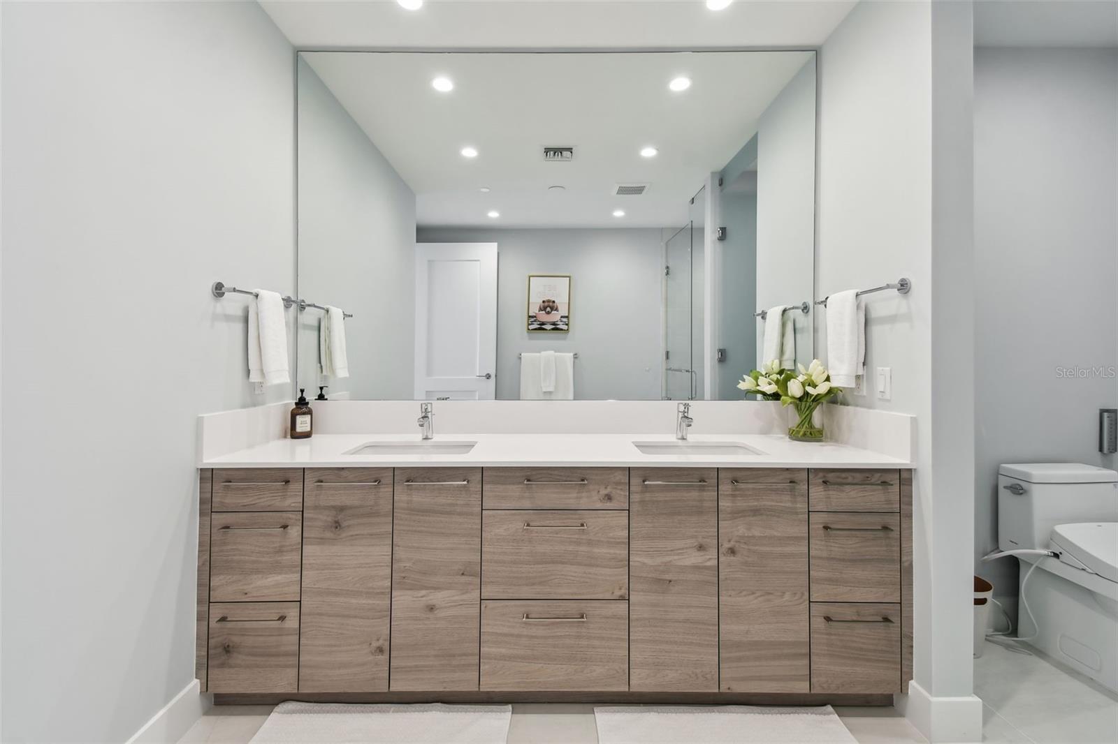 301 1ST ST S #2402, ST PETERSBURG, FL, 33701