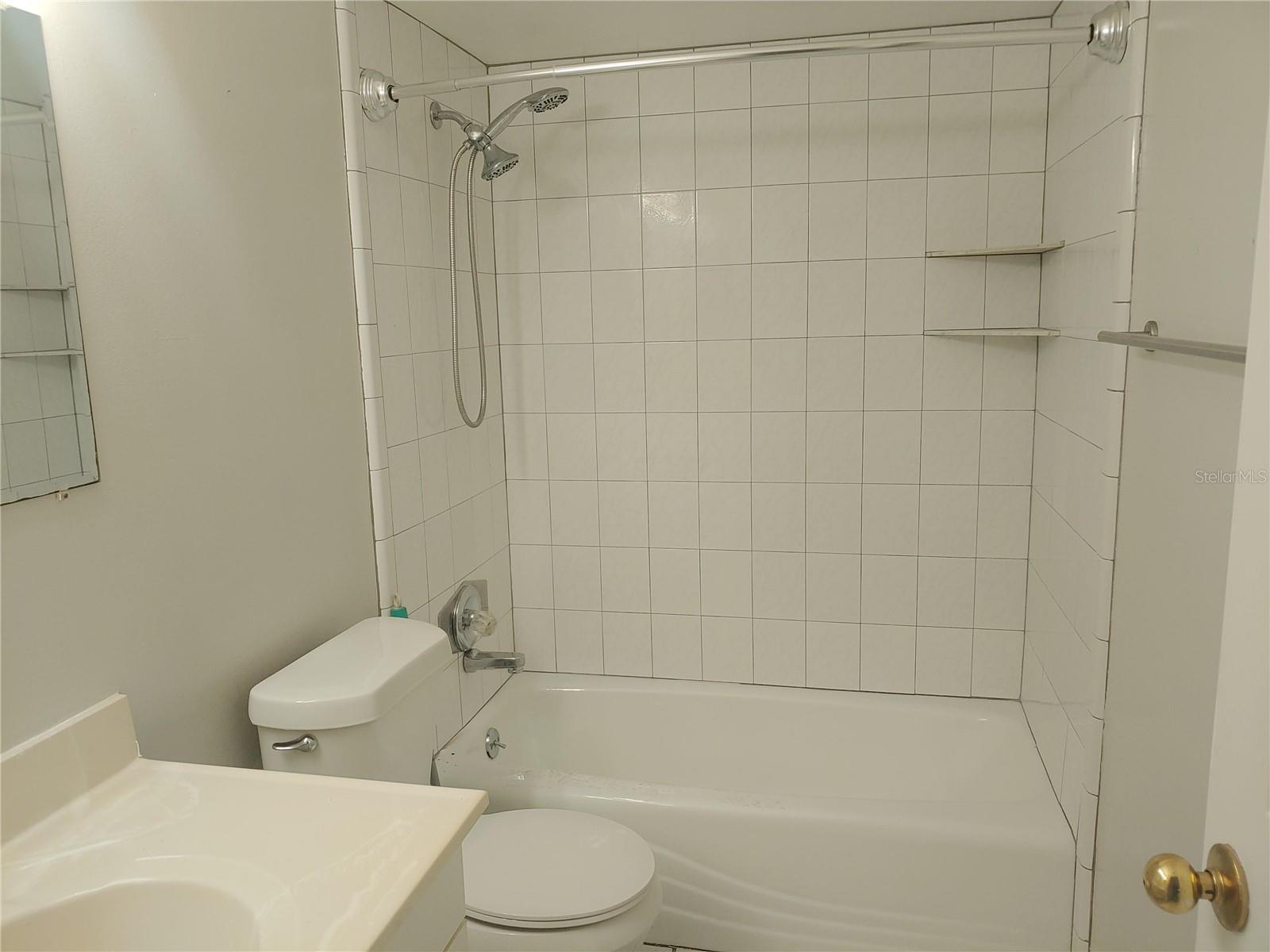 4109 FAIRVIEW VISTA PT #315, ORLANDO, FL, 32804