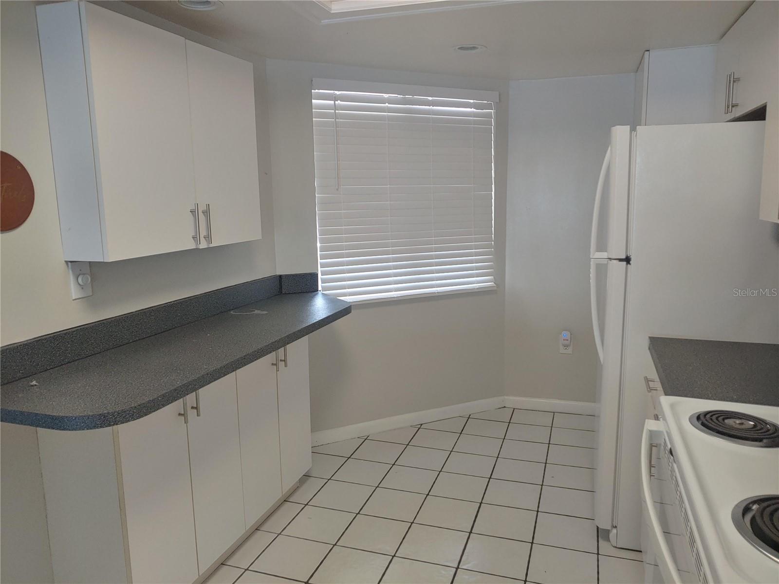 4109 FAIRVIEW VISTA PT #315, ORLANDO, FL, 32804