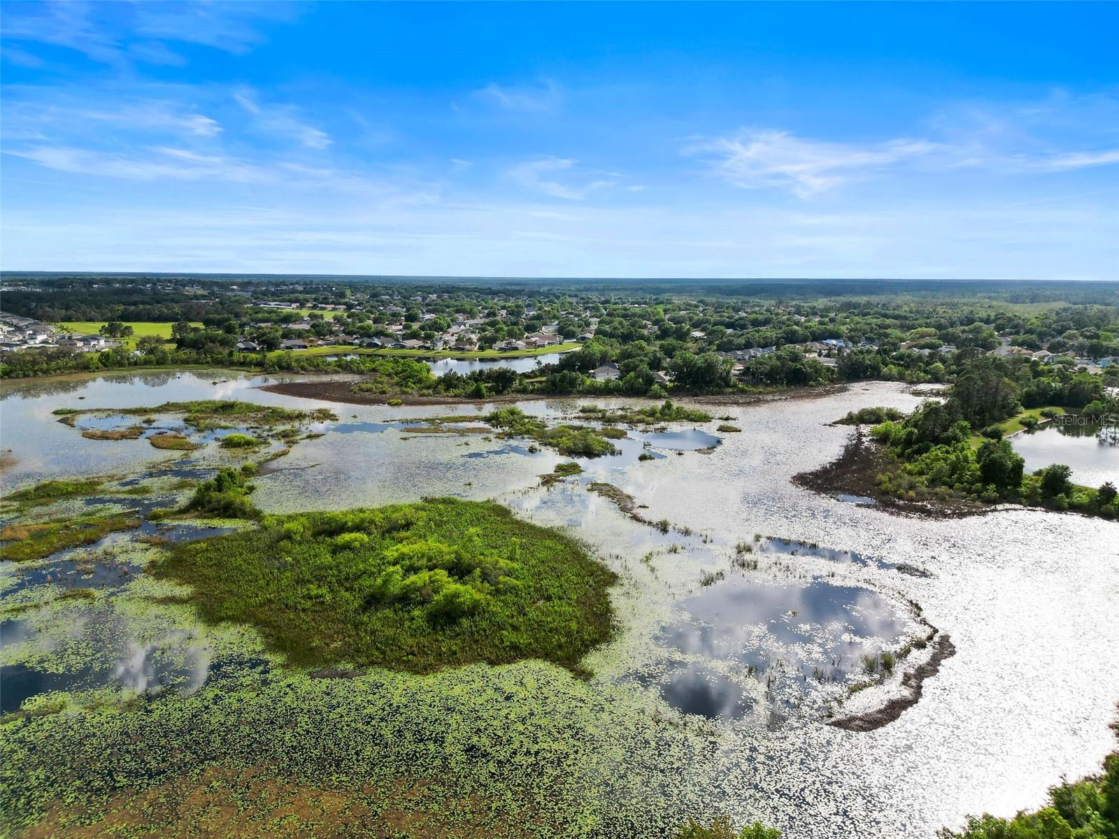 3666 MAIDENCAIN ST, CLERMONT, FL, 34714