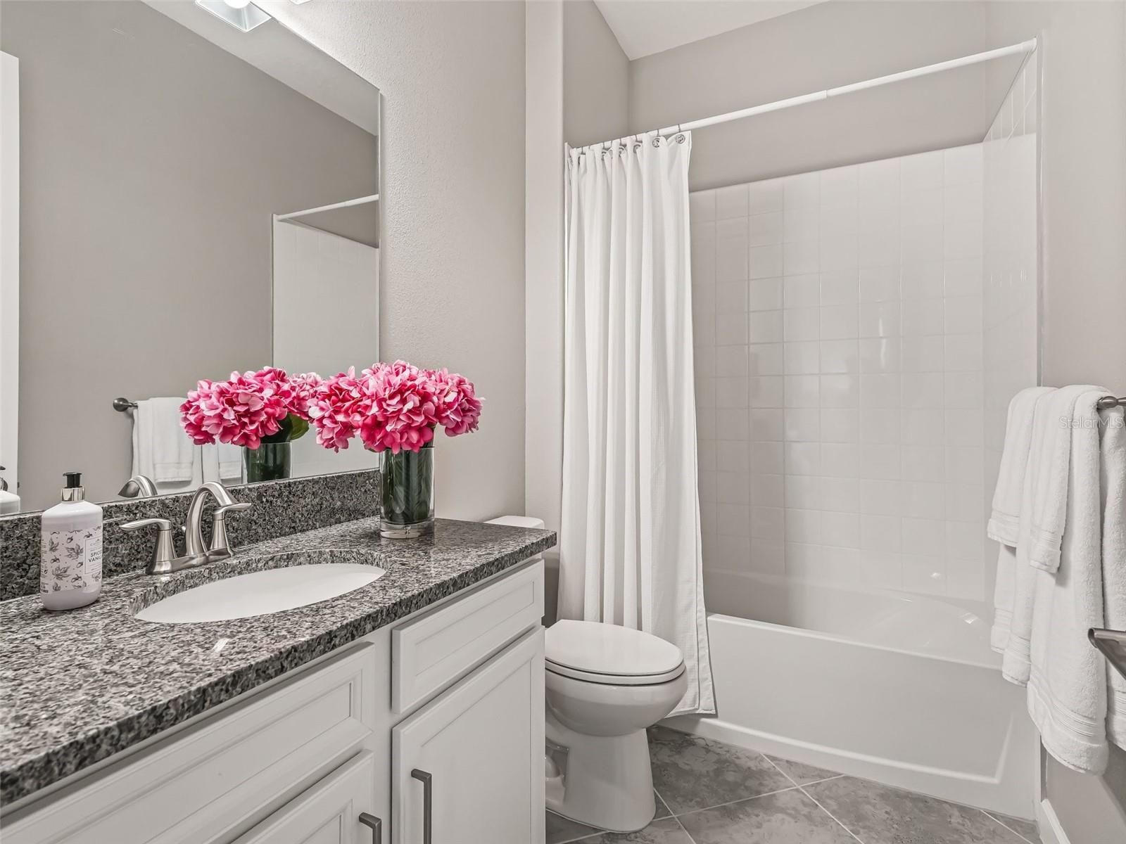 10909 SE 168TH LOOP, SUMMERFIELD, FL, 34491