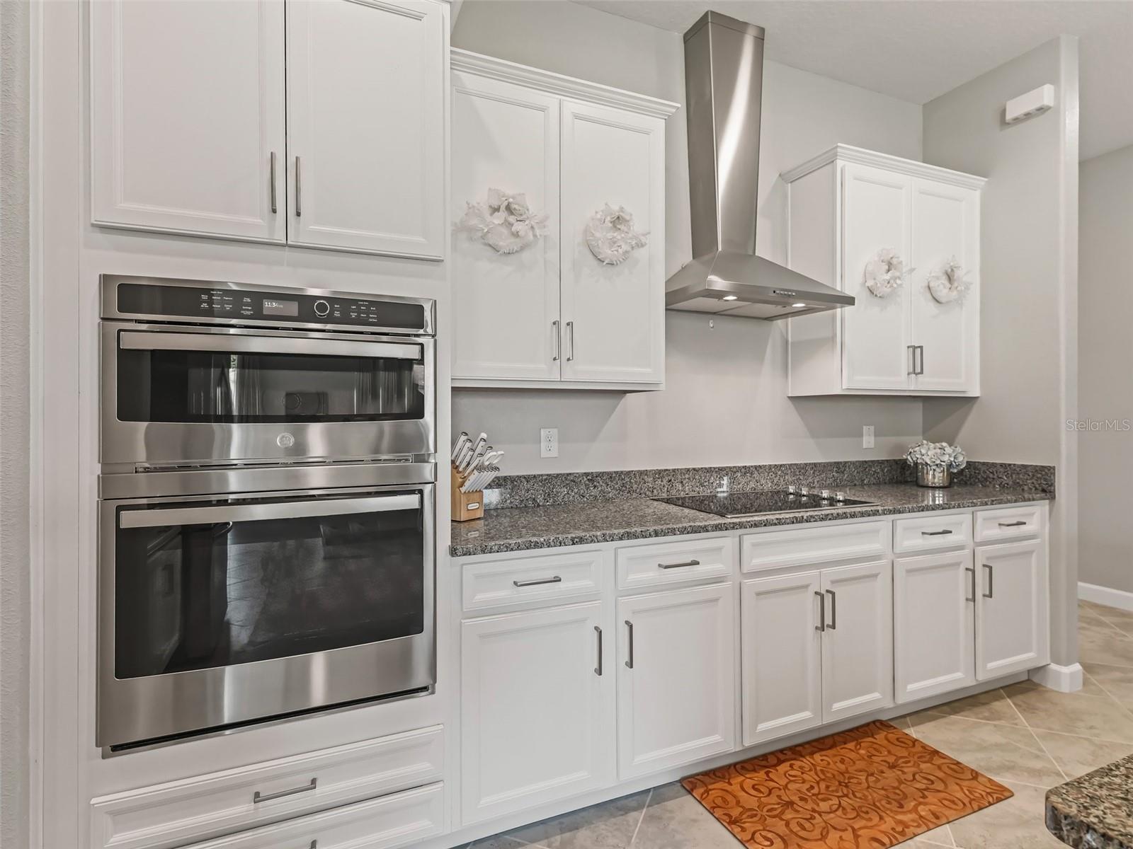 10909 SE 168TH LOOP, SUMMERFIELD, FL, 34491