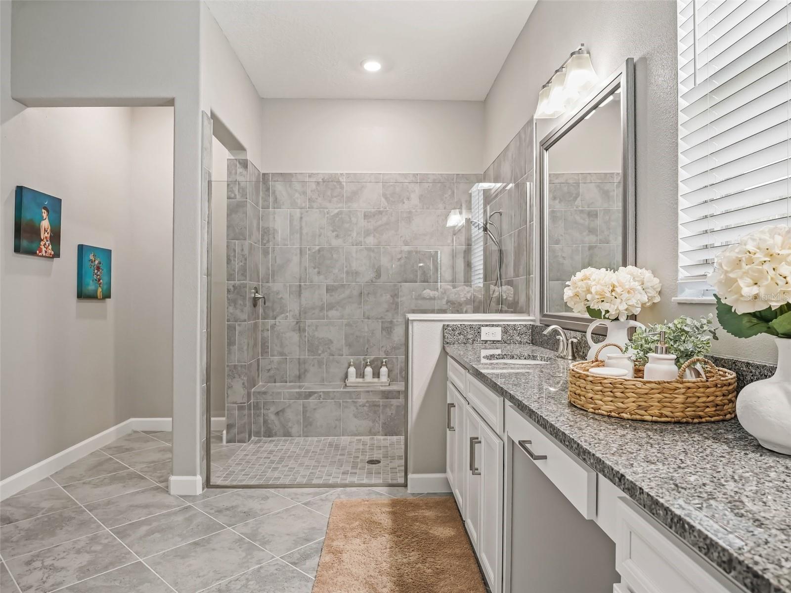 10909 SE 168TH LOOP, SUMMERFIELD, FL, 34491