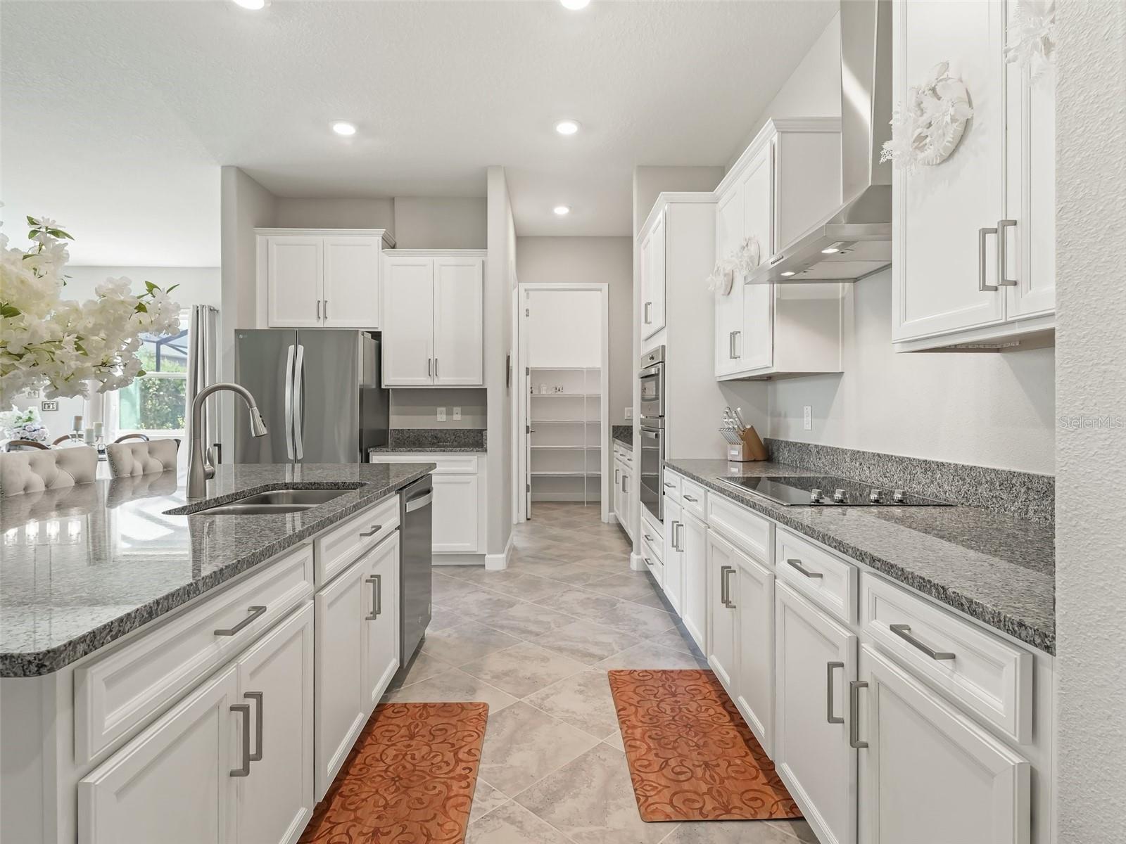 10909 SE 168TH LOOP, SUMMERFIELD, FL, 34491