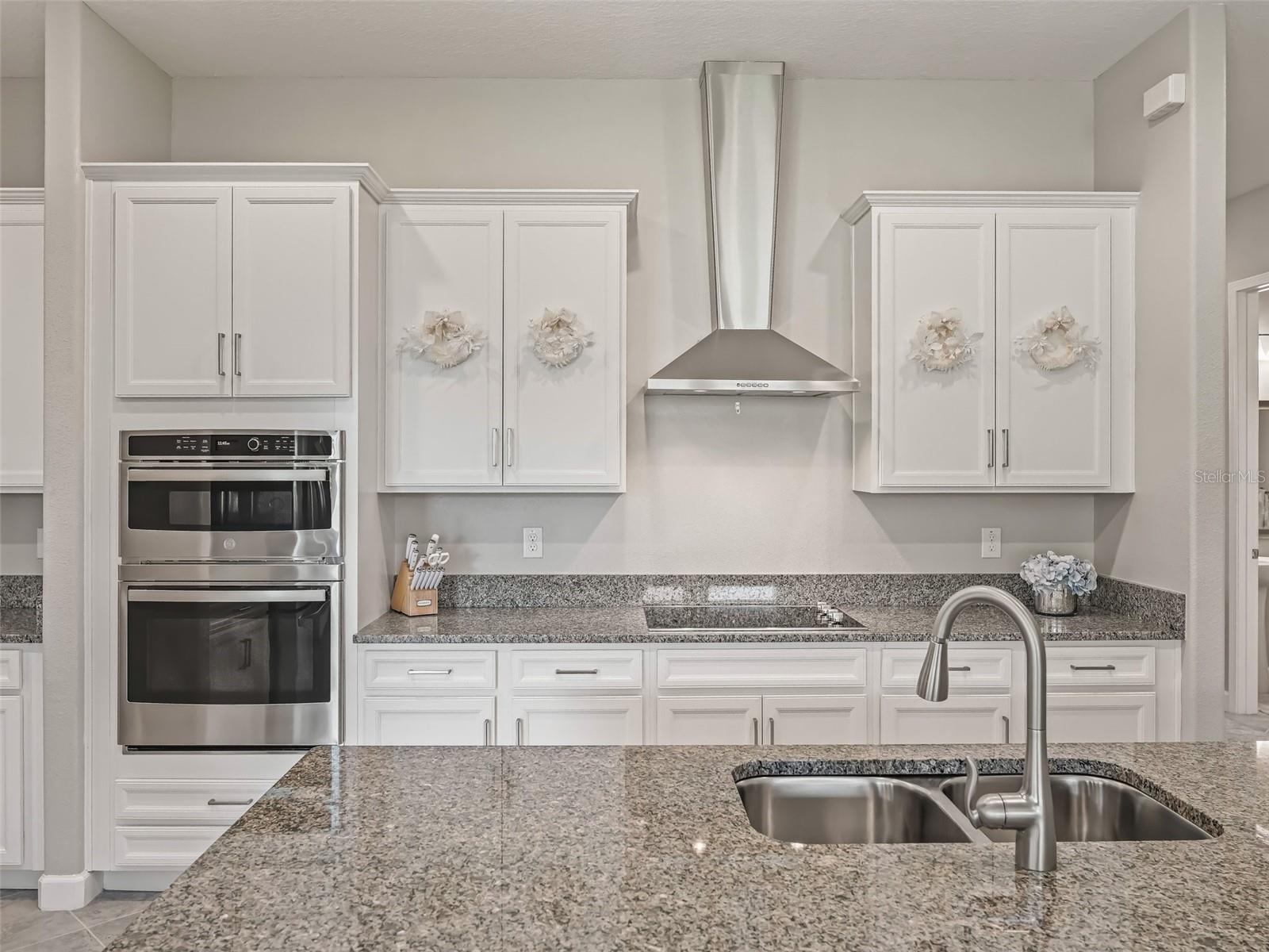 10909 SE 168TH LOOP, SUMMERFIELD, FL, 34491