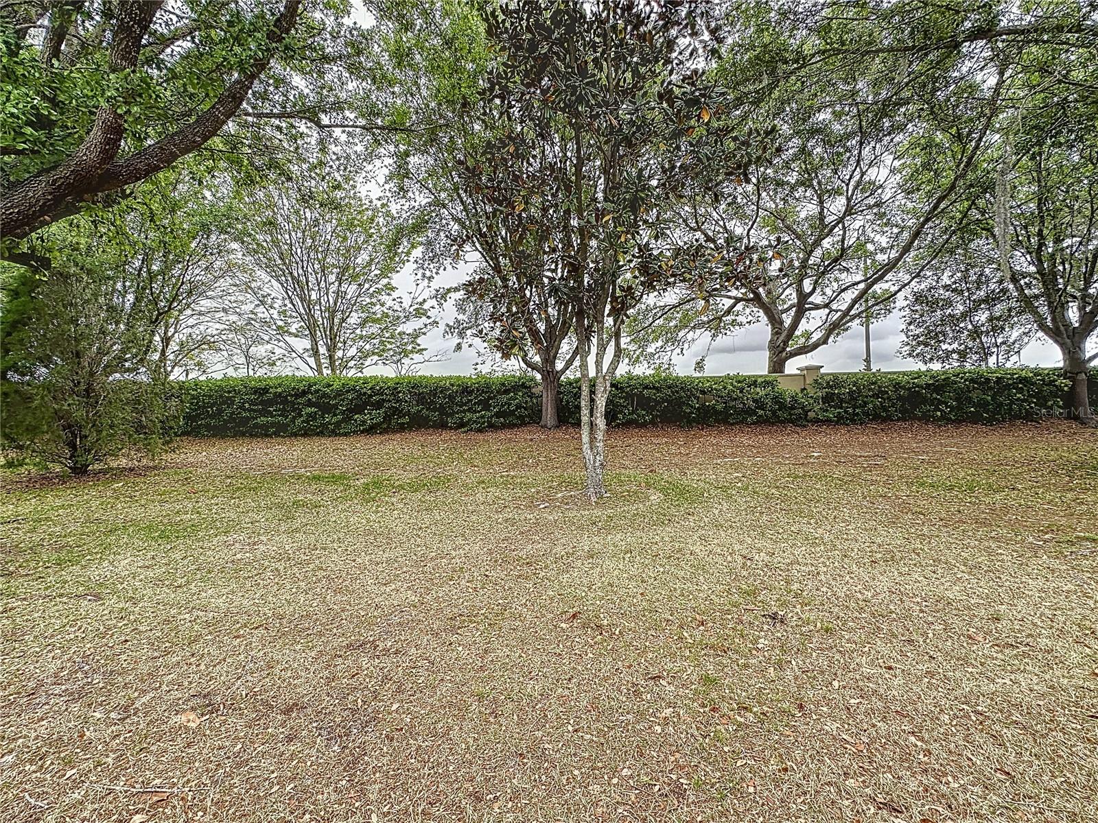 135 CREPE MYRTLE DR, GROVELAND, FL, 34736