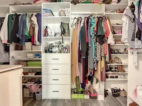 2853 BLACK BIRCH DR, OCOEE, FL, 34761