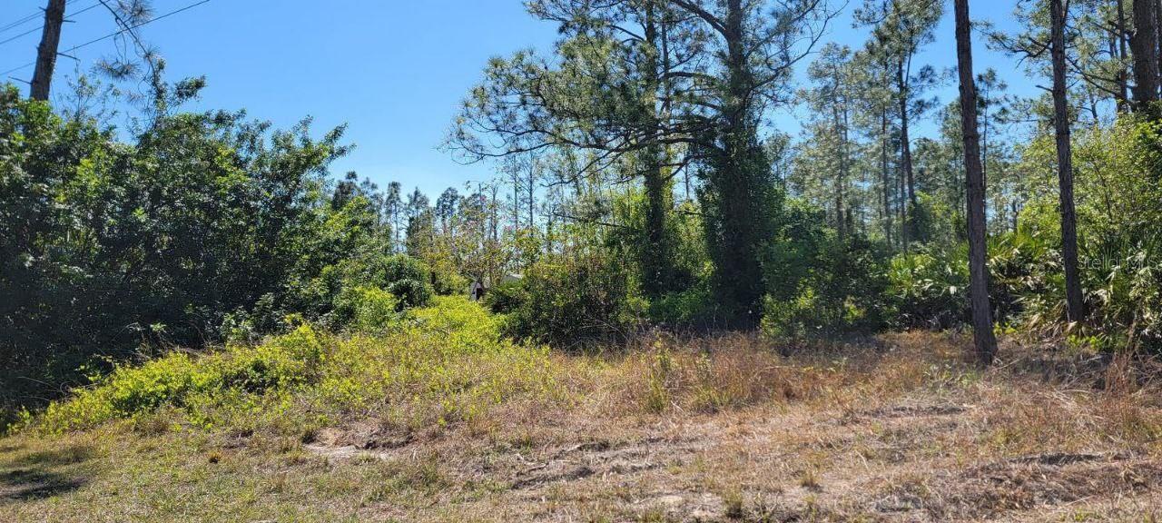 1211 WELLINGTON AVE, LEHIGH ACRES, FL, 33972