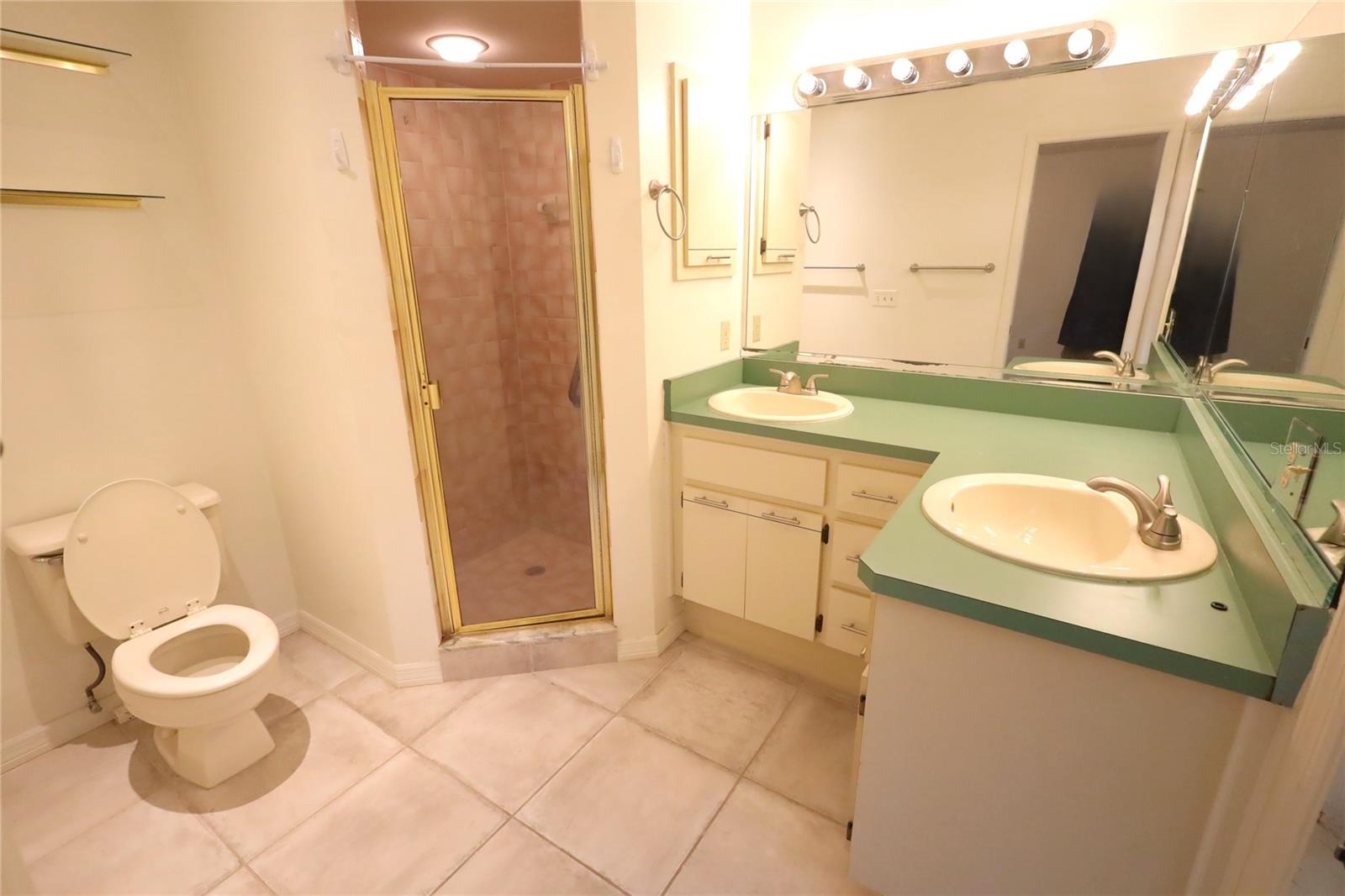 2302 ASHINGTON PARK DR, APOPKA, FL, 32703