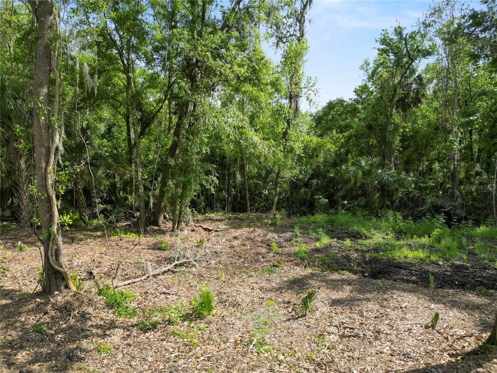 4240 WILLOW OAK RD, MULBERRY, FL, 33860