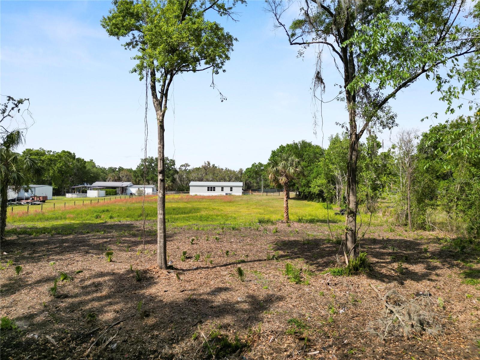 4240 WILLOW OAK RD, MULBERRY, FL, 33860