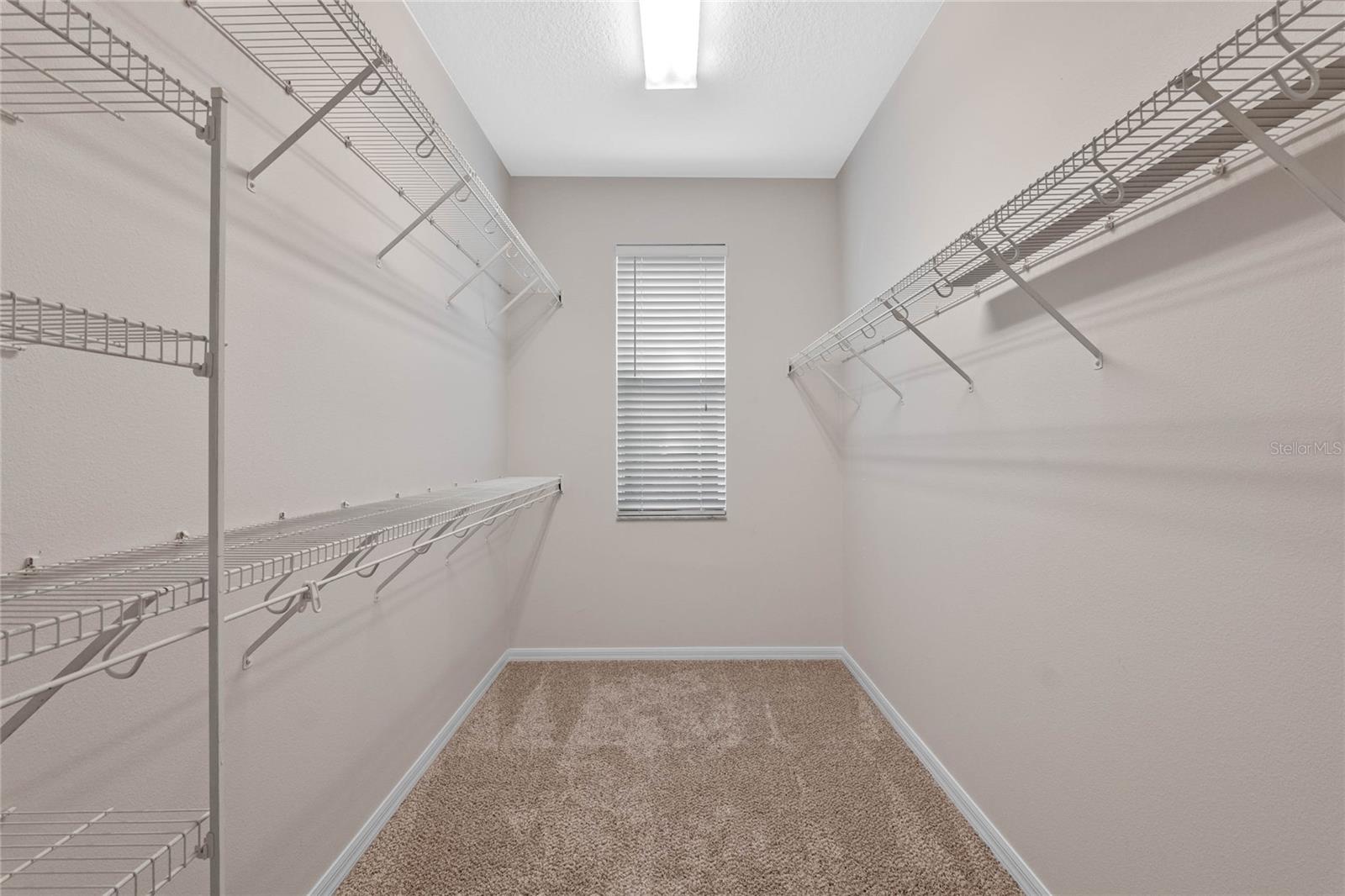 5044 WISE BIRD DR, WINDERMERE, FL, 34786