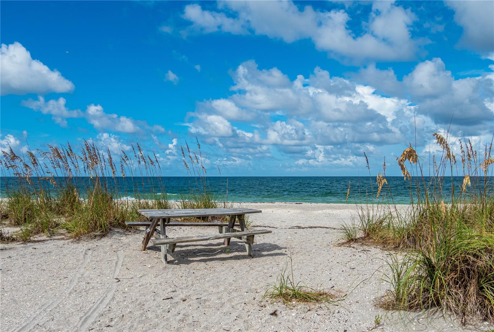 1551 BEACH RD #207, ENGLEWOOD, FL, 34223