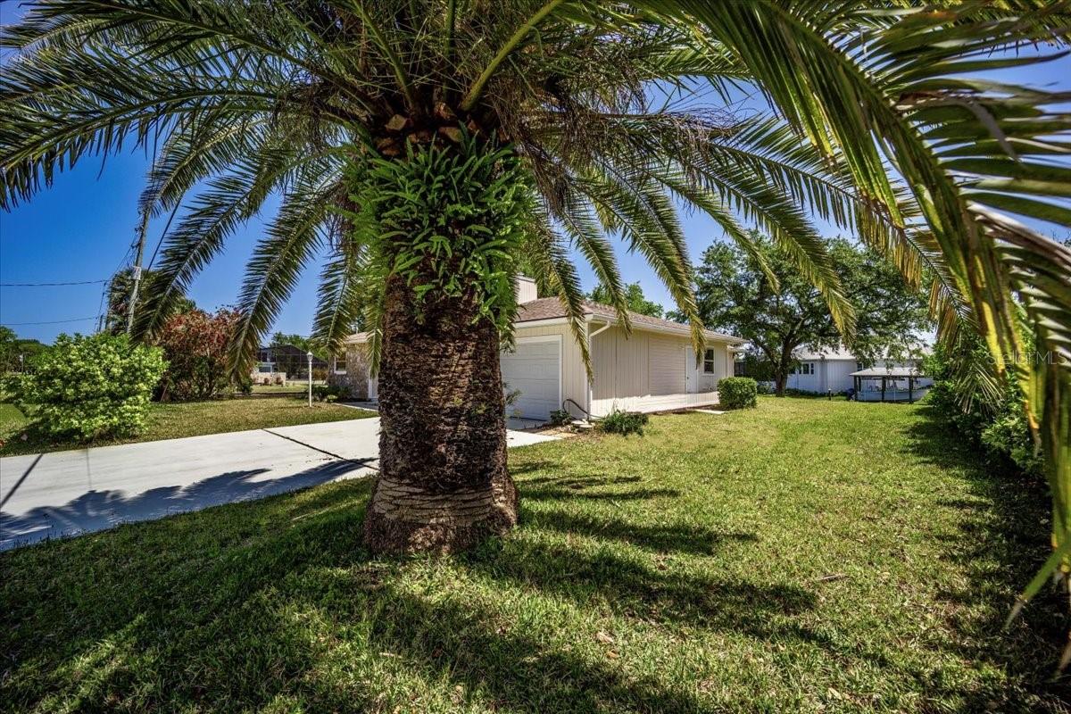 82 CIMMARON DR, PALM COAST, FL, 32137