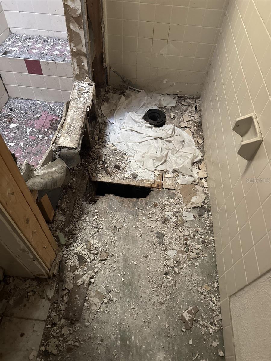 8906 TURKEY CREEK RD, PLANT CITY, FL, 33567